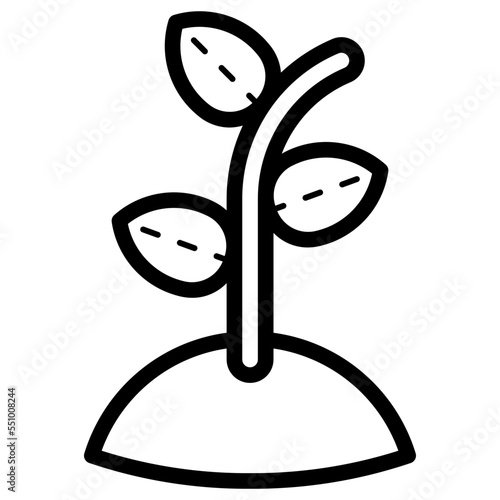 growing plant icon