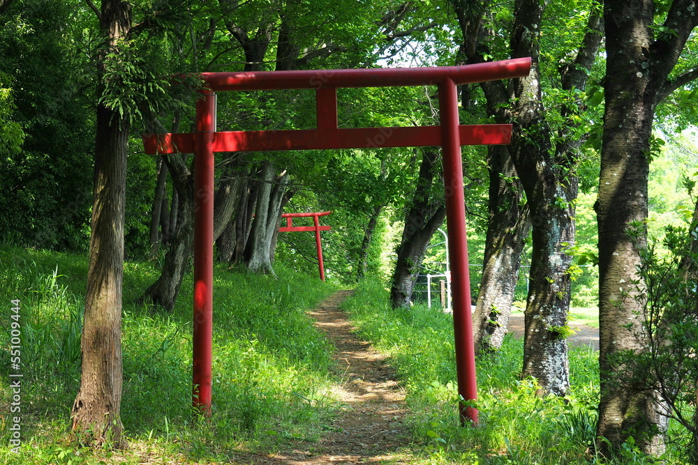 Fototapeta premium 鉢形城跡、城山稲荷神社の鳥居(三の曲輪北に鎮座)【埼玉県寄居町】