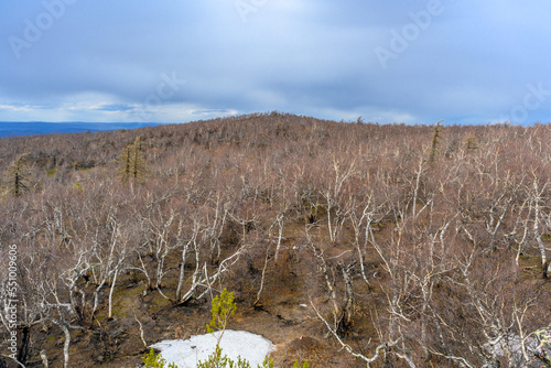 South Ural Mountains with a unique landscape, vegetation and diversity of nature in spring. photo