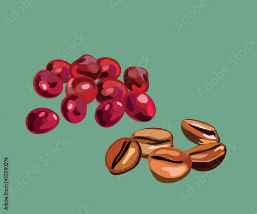 peruvian coffee vector illustration