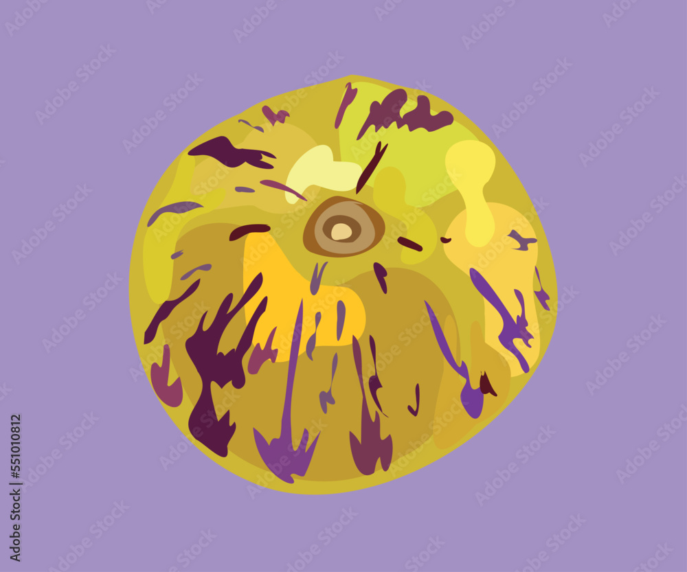 sweet cucumber vector illustration sweet cucumber vector illustration