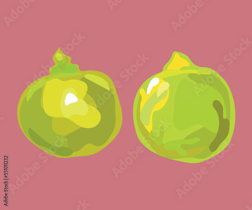 lima peruvian fruit vector illustration