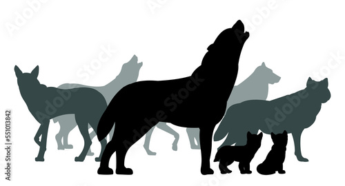 Pack of wolves with puppies. Silhouette picture. Wild animal in nature. Predator in natural conditions. Isolated on white background. Vector.