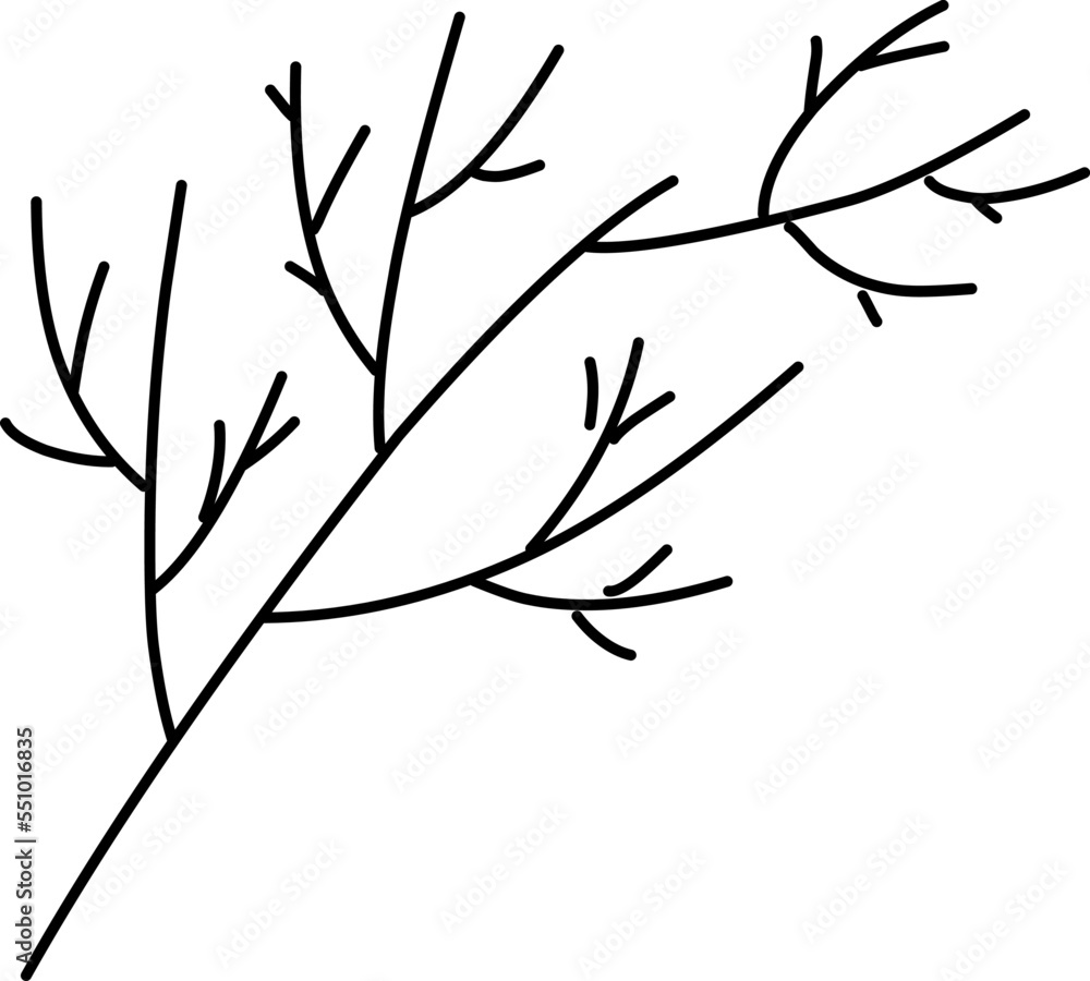 Branch of tree, silhouettes of bare branches. Vector illustration.