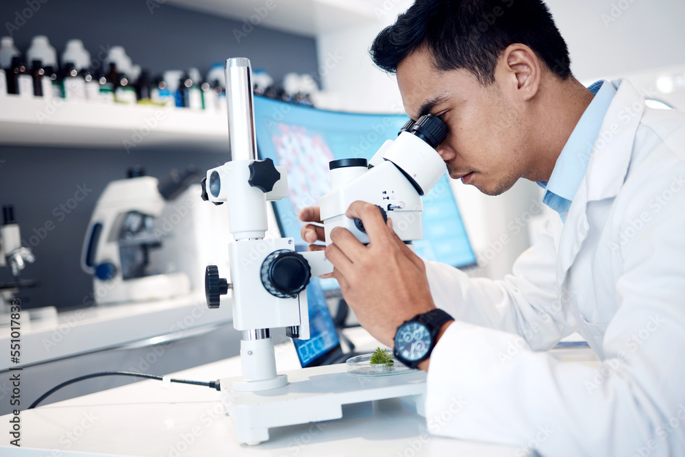 Microbiology, research and scientist in a lab with a microscope for science, healthcare innovation and bacteria analysis. Medical analytics, biotechnology and worker with test on future medicine Microbiology, research and scientist in a lab with a microscope for science, healthcare innovation and bacteria analysis. Medical analytics, biotechnology and worker with test on future medicine