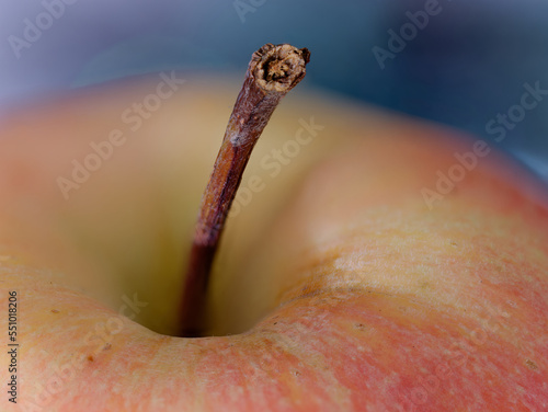 Macro photo of a fresh apple with a blurry background