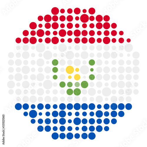 Paraguay Silhouette Pixelated pattern map illustration