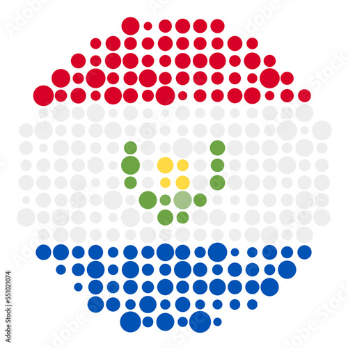 Paraguay Silhouette Pixelated pattern map illustration