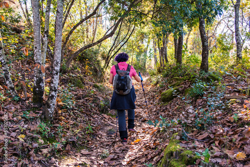 Rear View Of Senior Woman Walking In Forest Carrying Backpack And Hiking Poles. Active Woman Doing A Route On A Trail. Outdoor Activities.  © Nanci