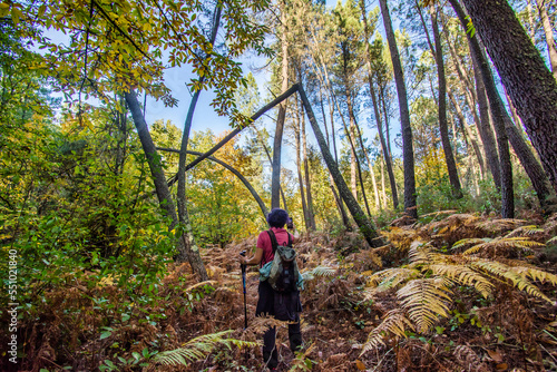 Rear View Of A Senior Woman Walking In The Forest.Woman In The Middle Of The Forest Contemplating The Beauty Of Nature, She Is Taking A Photo With The Smartphone.Active Woman Doing A Route On A Trail.