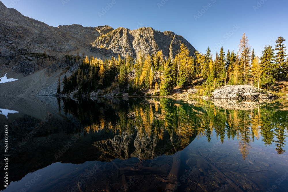 Morning Landscape of Autumn Larch Reflecting on the Lake