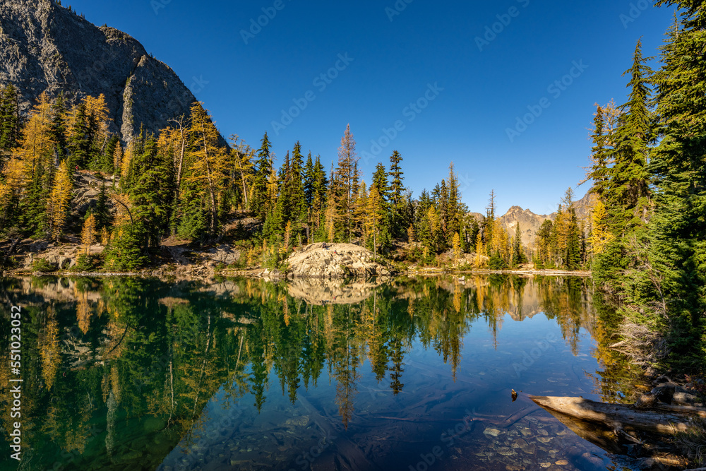 Landscape of Autumn Larch Reflection on Lake