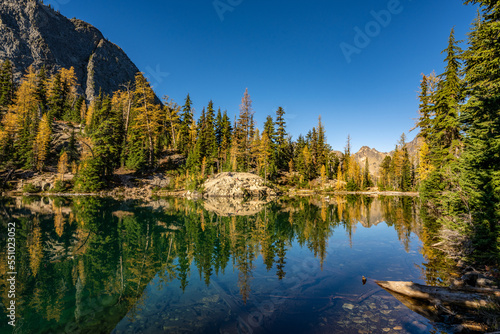 Fototapeta Naklejka Na Ścianę i Meble -  Landscape of Autumn Larch Reflection on Lake