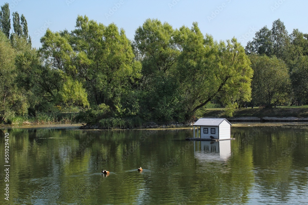 White wooden floating duck house in the centre of the pond in public park. Bird sanctuary in artificial lake. Spring nest. Summer green view. Wildlife nature reserve in river water. Waterfowl shelter