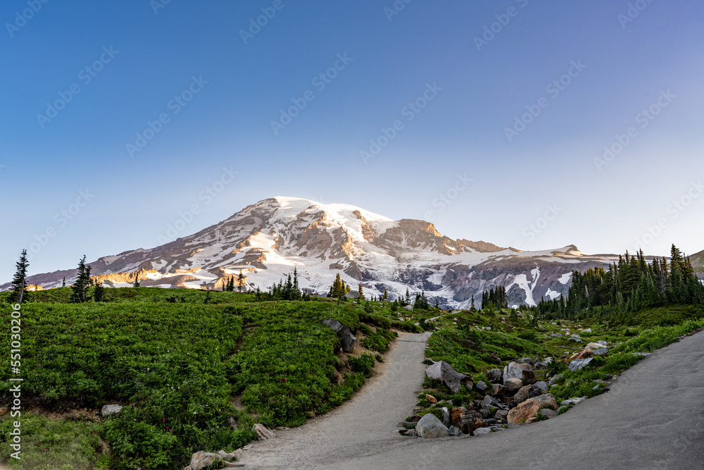 Mount Rainier Landscape with Path