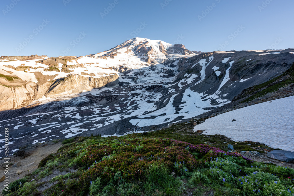 Mount Rainier Landscape with Wildflowers in Foreground