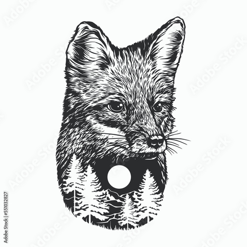 Fox head, hand draw illustration, with the forest