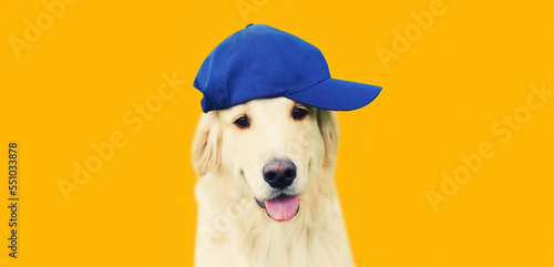 Canvas Print Portrait of happy stylish Golden Retriever dog in blue baseball cap isolated on