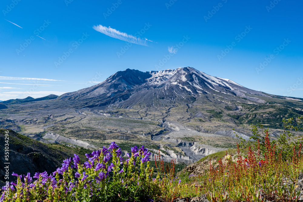 Purple and red wildflowers in front of Mount Saint Helens