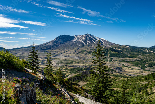 Obraz na płótnie landscape of Mount Saint Helens with devastated stump and recovering trees w salonie