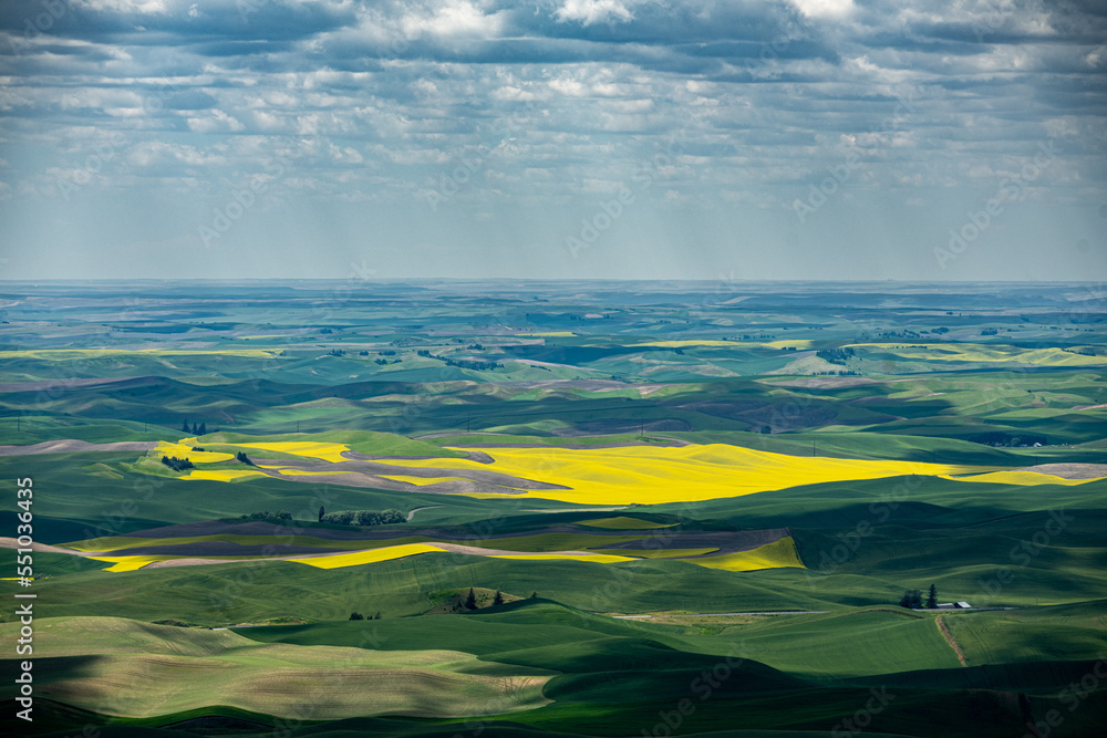 landscape of distant rain over green and yellow fields