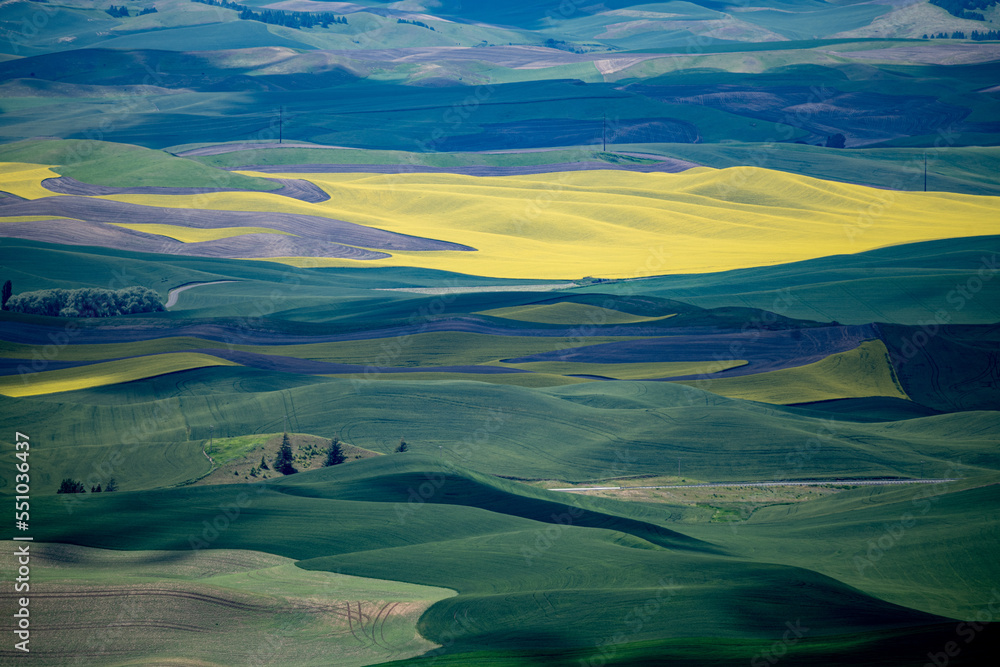 landscape with colorful fields