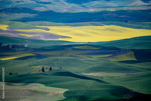 Obraz na płótnie landscape with colorful fields w salonie