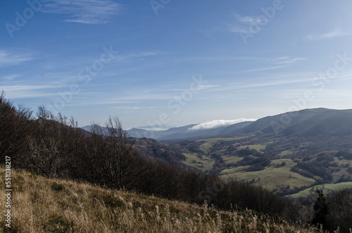 Fototapeta Naklejka Na Ścianę i Meble -  Połonina Wetlińska  - Bieszczady 