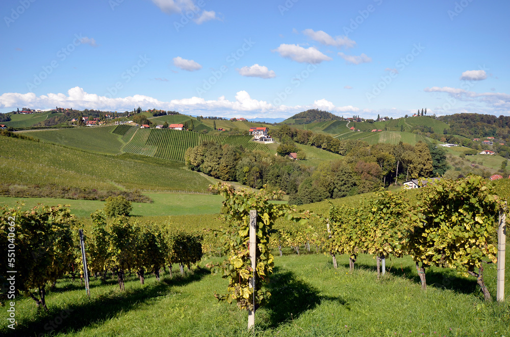 Austria, Styria, Styrian Wine Route