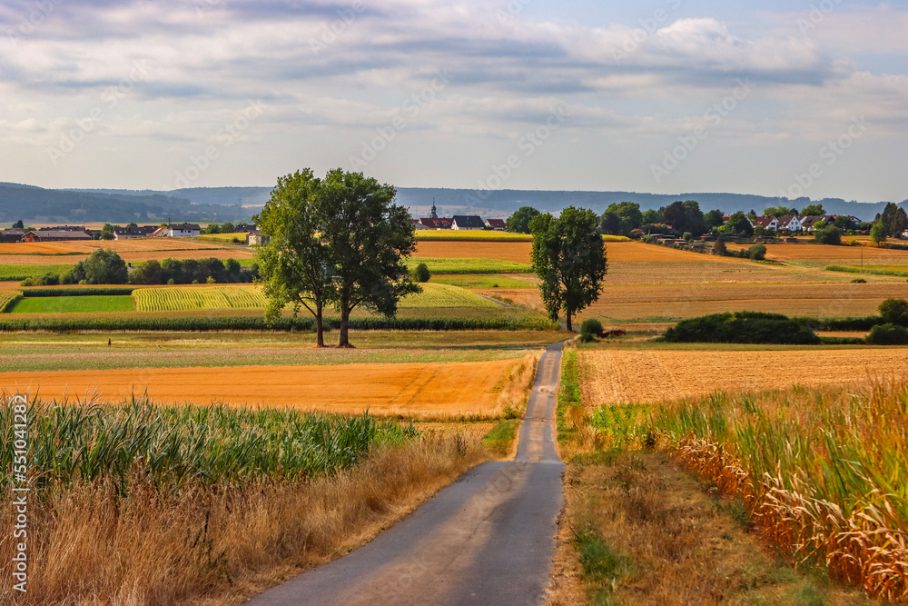 Fototapeta premium road in the countryside