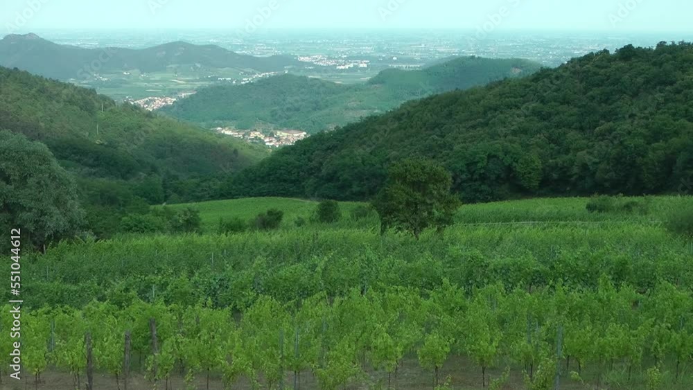 Panoramic view of the Euganean hills (Italy) Panoramic view of the Euganean hills (Italy)