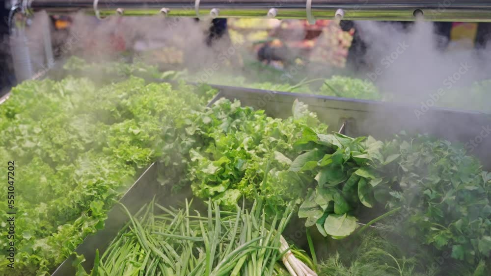 Sale of fresh green vegetables lettuce salad, parsley, dill, green