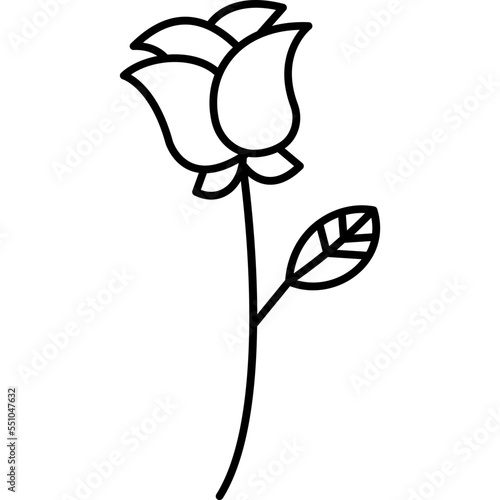 Flower Which Can Easily Modify Or Edit

