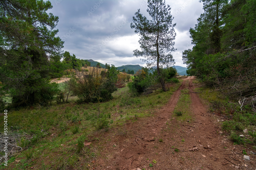 Rural road in autumn mountain and colorful trees on slopes. Rural road in autumn mountain and colorful trees on slopes.