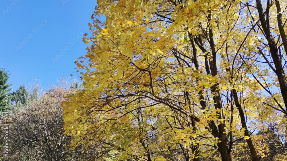 Amazing Autumn view of South Park in city of Sofia, Bulgaria Amazing Autumn view of South Park in city of Sofia, Bulgaria