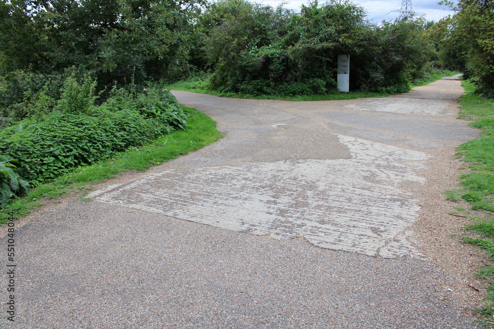 Obraz premium Walking path