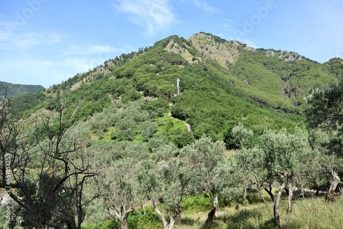 Pellezzano - Panorama dall'Eremo dello Spirito Santo photo