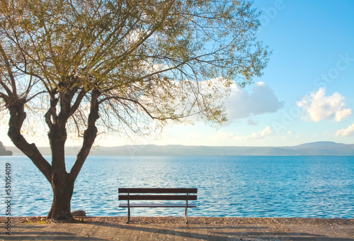 Empty bench and tree with lake sight