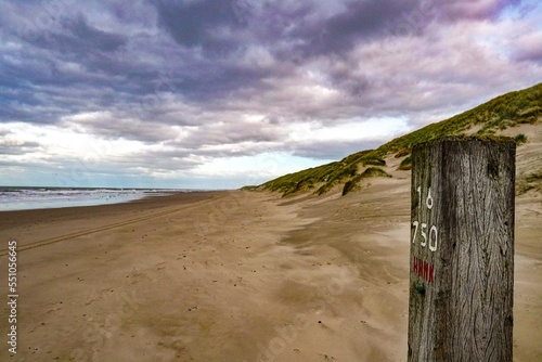 Beach Holland photo