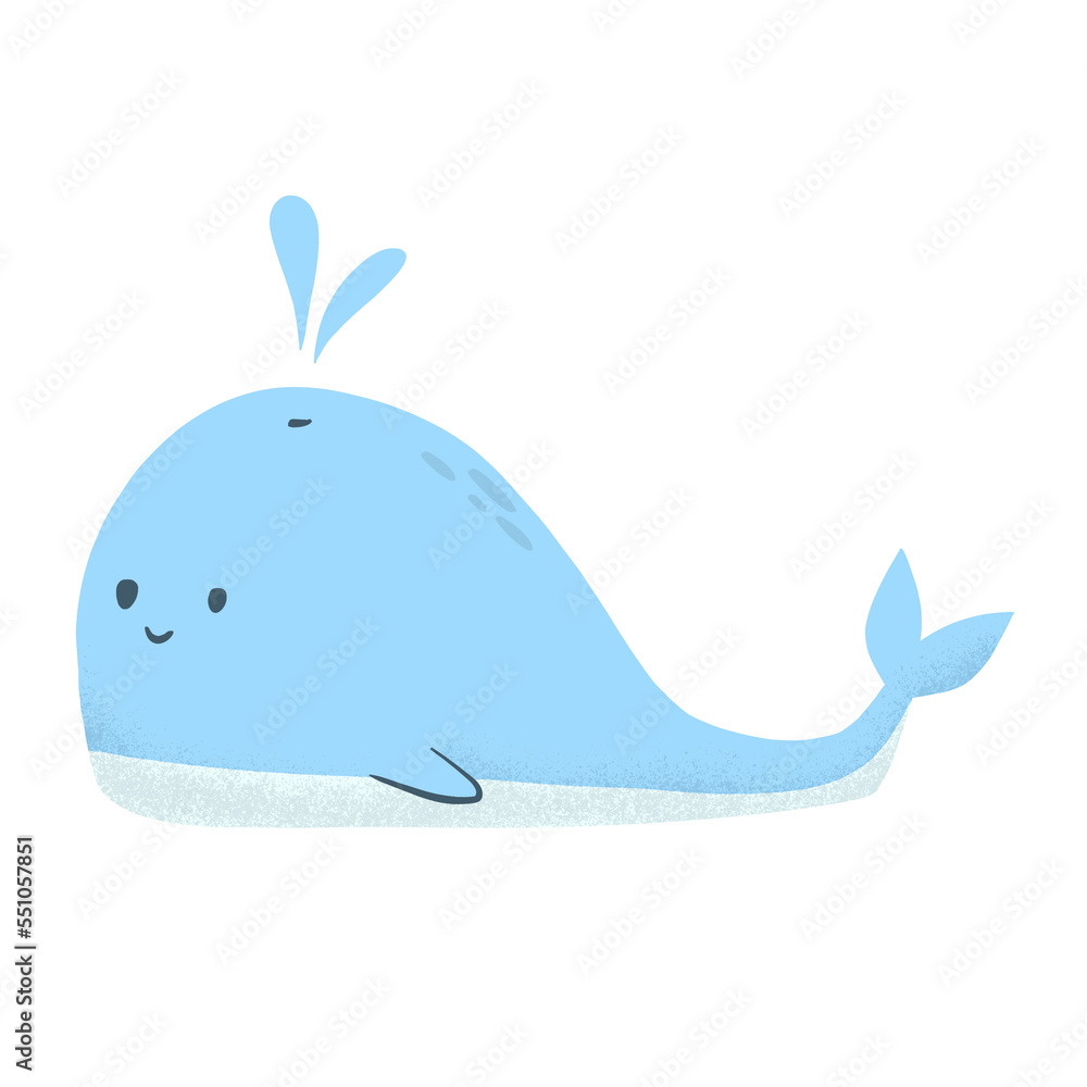 cute whale in the ocean cute whale in the ocean