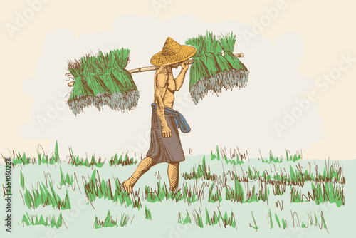 Asian farmers working on Field. Farmer harvesting vector. Hand drawn illustration.