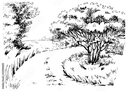 Rural landscape, tree and farm. Vector hand drawn vintage engraved sketch.
