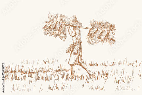 Asian farmers working on Field. Farmer harvesting vector. Hand drawn illustration.