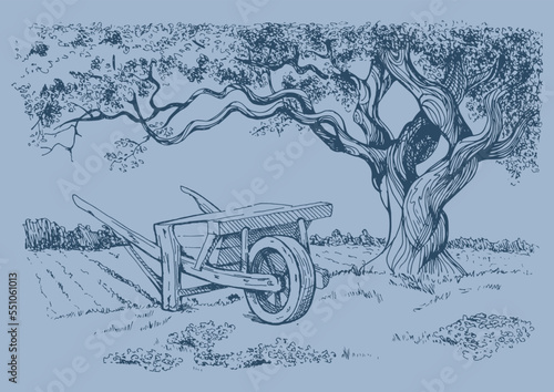 Rural landscape, tree and farm. Vector hand drawn vintage engraved sketch.
