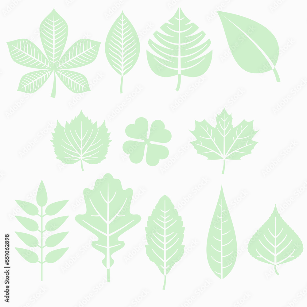 Obraz premium pictures of many green leaves