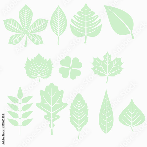 pictures of many green leaves