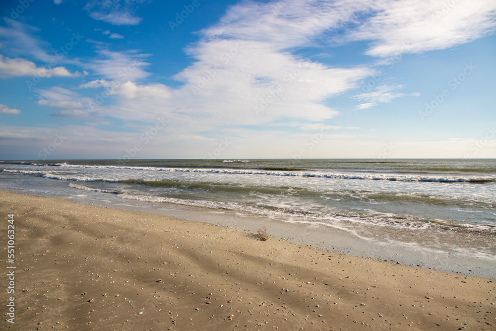 Landscape of an empty wild beach