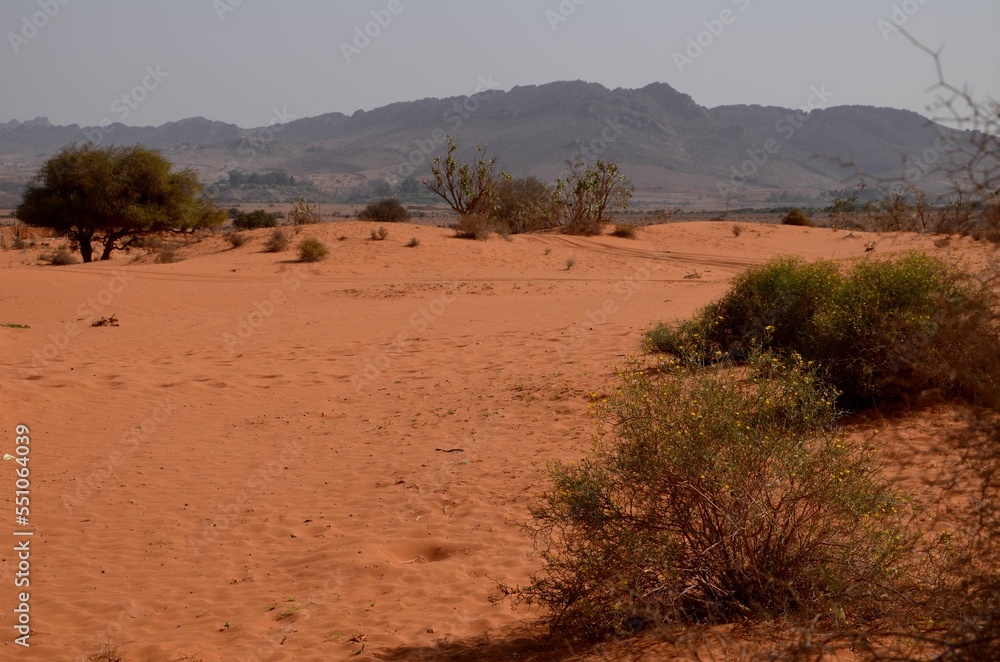 Fototapeta premium view at