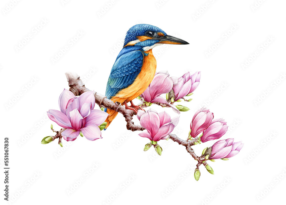 Beautiful kingfisher bird on magnolia branch with flowers. Watercolor ...
