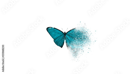 Digital Transformation Banner. Dispersed Butterfly Isolated photo